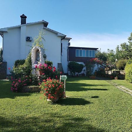 B&B Le Cinque Querce Viterbo Exterior photo