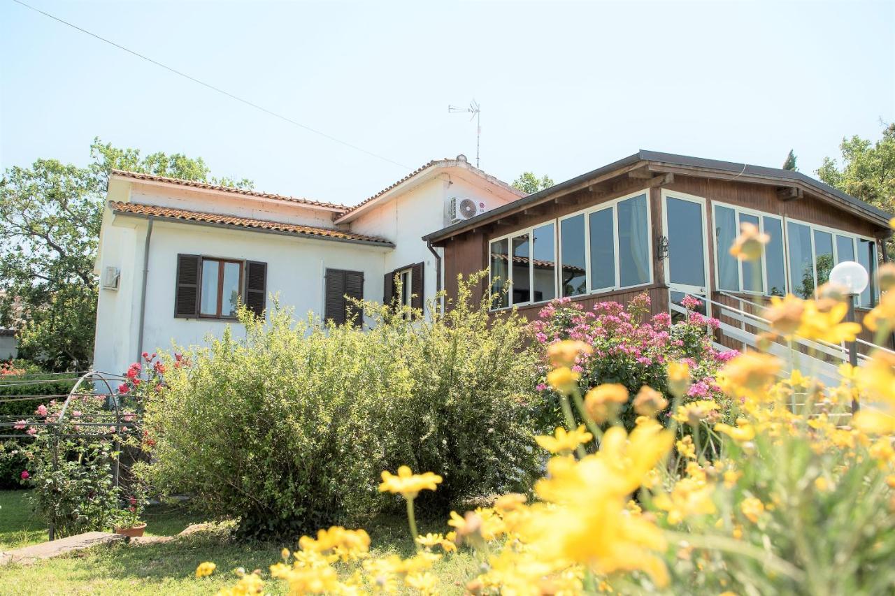 B&B Le Cinque Querce Viterbo Exterior photo