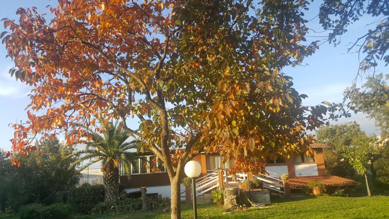 B&B Le Cinque Querce Viterbo Exterior photo