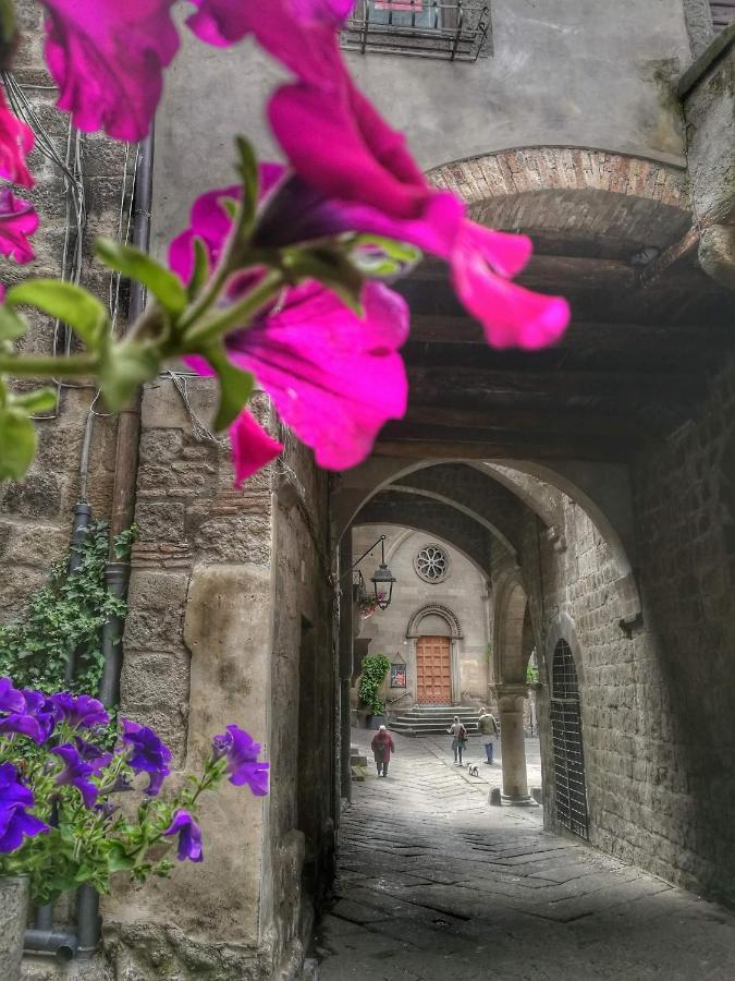 B&B Le Cinque Querce Viterbo Exterior photo