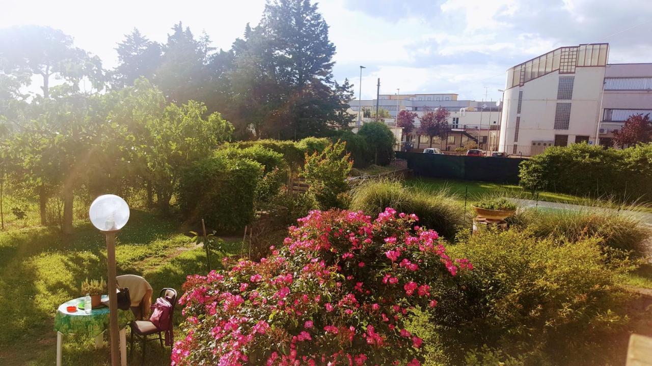 B&B Le Cinque Querce Viterbo Exterior photo