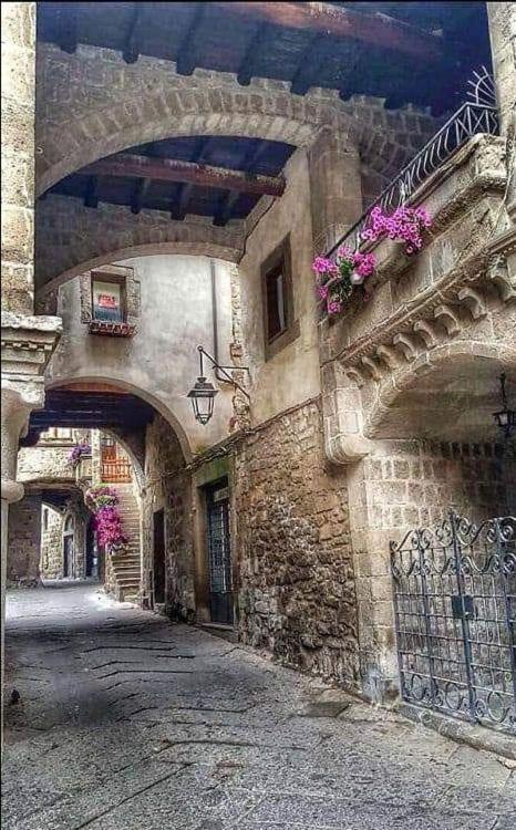 B&B Le Cinque Querce Viterbo Exterior photo
